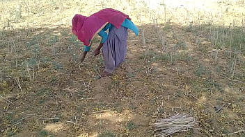 Pria India Tampan Menggoda Kekasihnya Yang Seksi Di Ladang