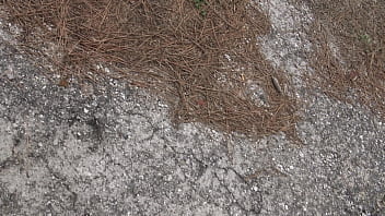 Ibu Tiri Turki Berani Kencing Dari Memek Berbulunya Di Depan Anak Tirinya