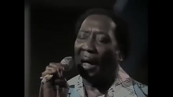 Gelora Lumpur Dan Nafsu: Pertunjukan Panas Muddy Waters 1974